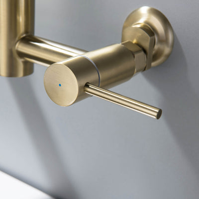 Wall Mounted Pull Down Two Handle Kitchen Faucet Brushed Gold RB1157